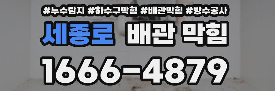 세종로 배관 막힘