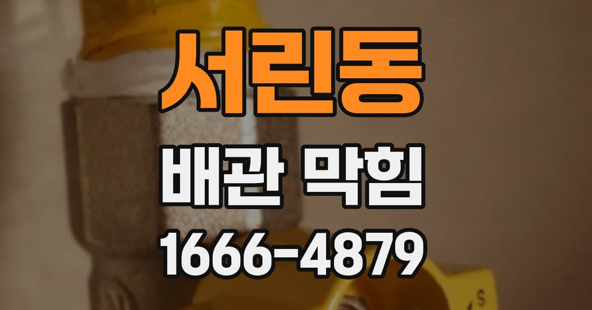 서린동 배관 막힘