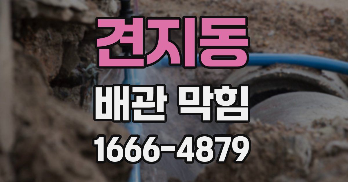 견지동 배관 막힘