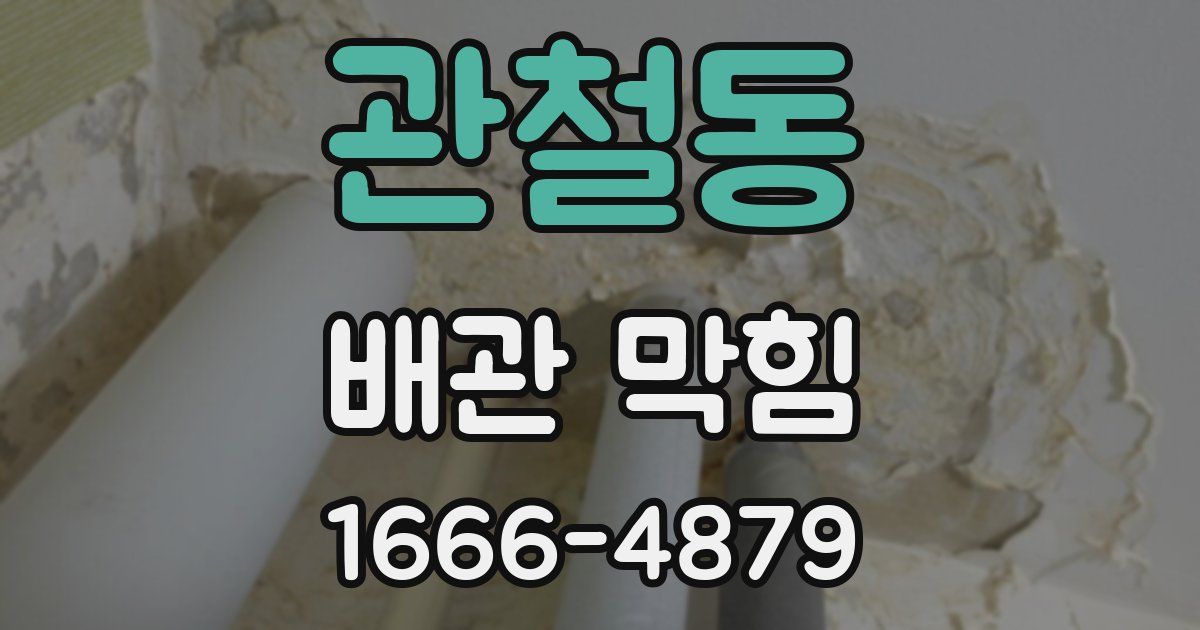 관철동 배관 막힘