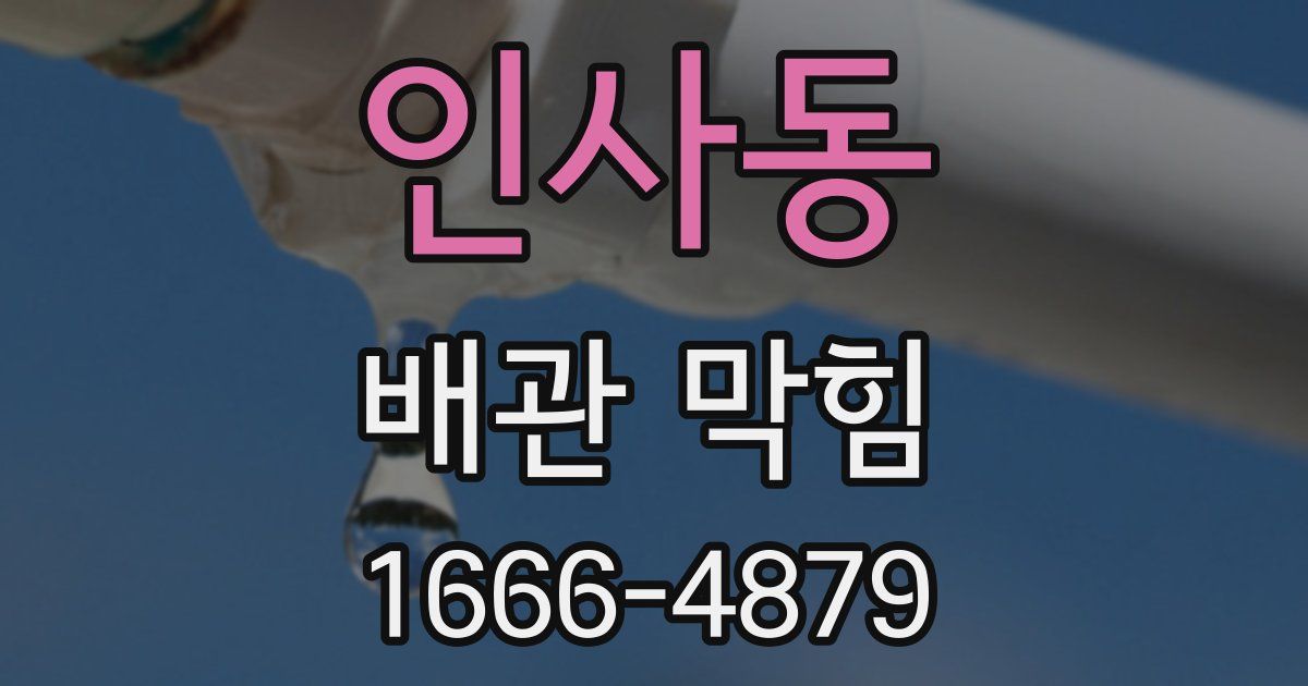 인사동 배관 막힘