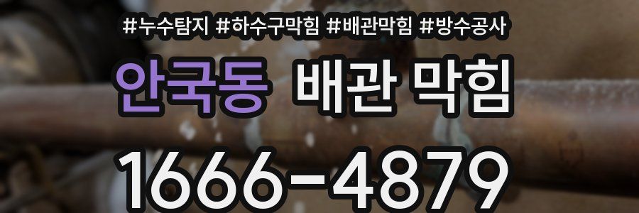 안국동 배관 막힘