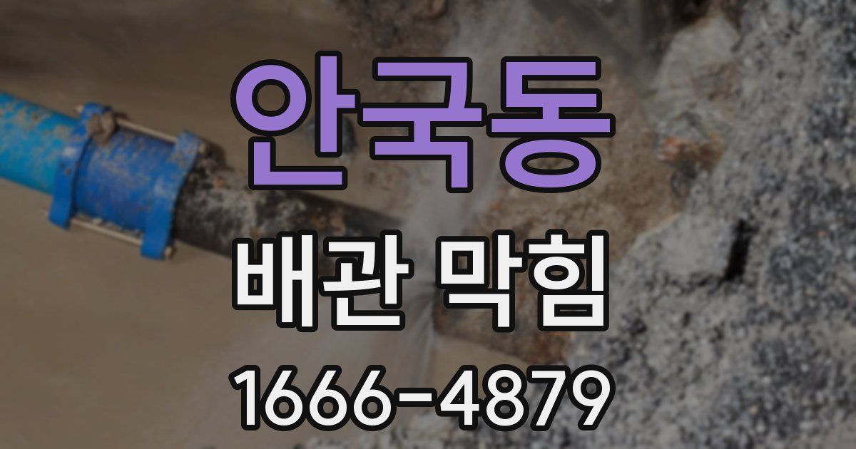 안국동 배관 막힘