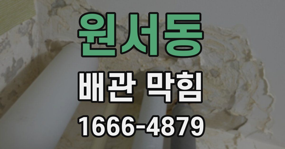 원서동 배관 막힘