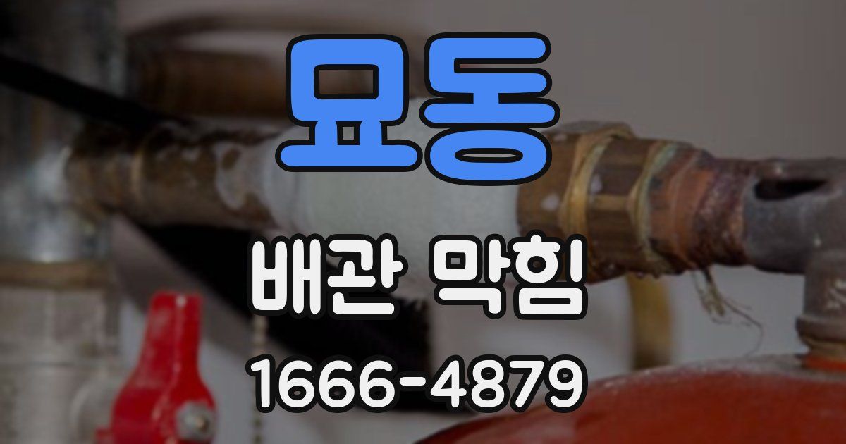 묘동 배관 막힘