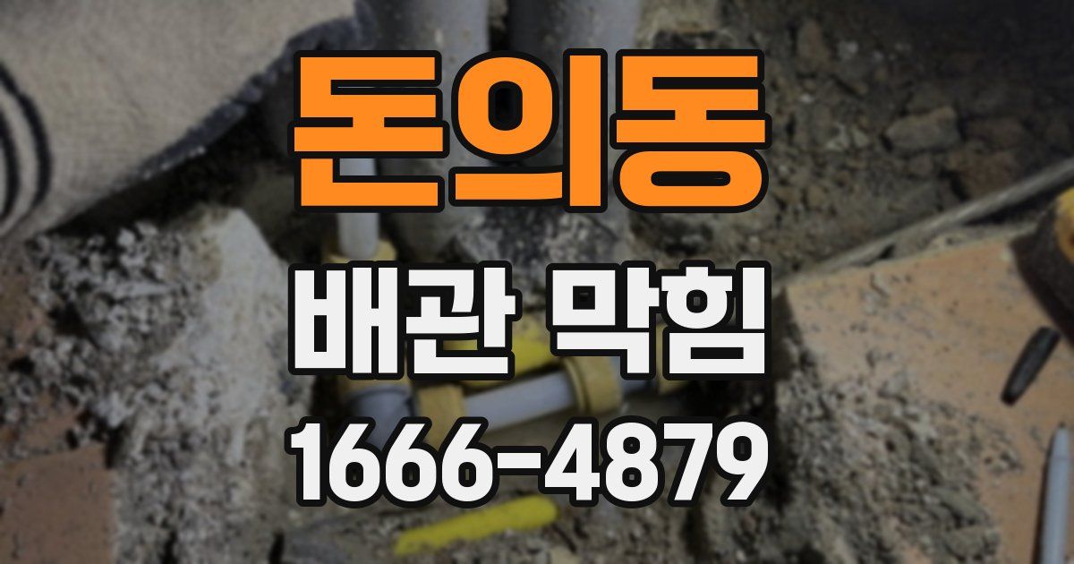 돈의동 배관 막힘