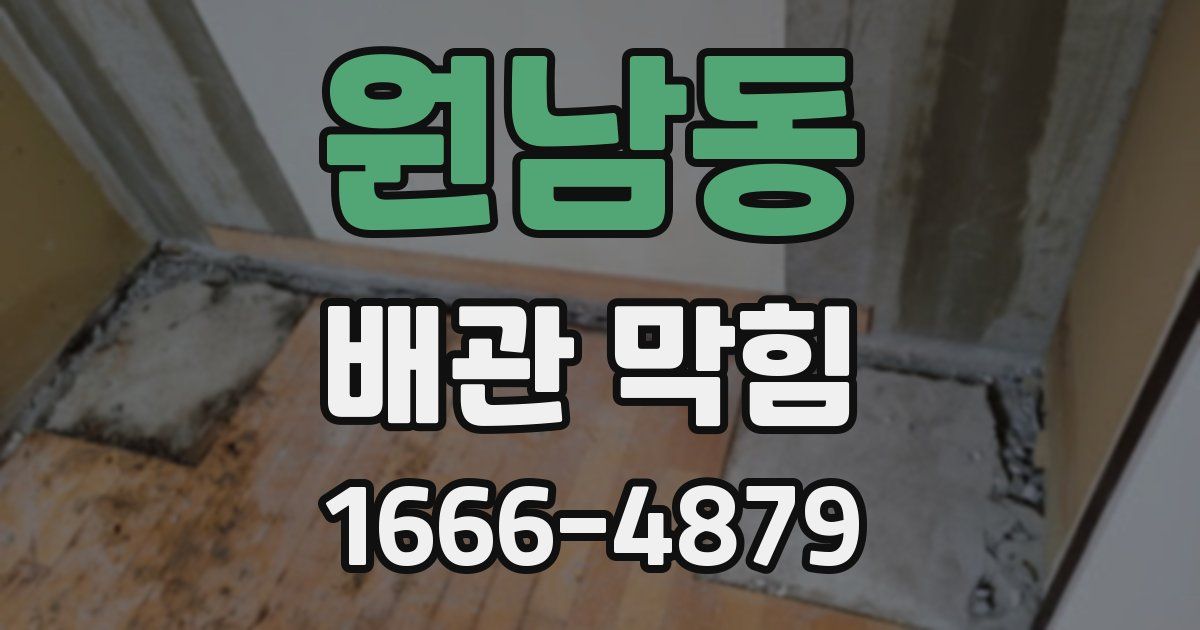 원남동 배관 막힘