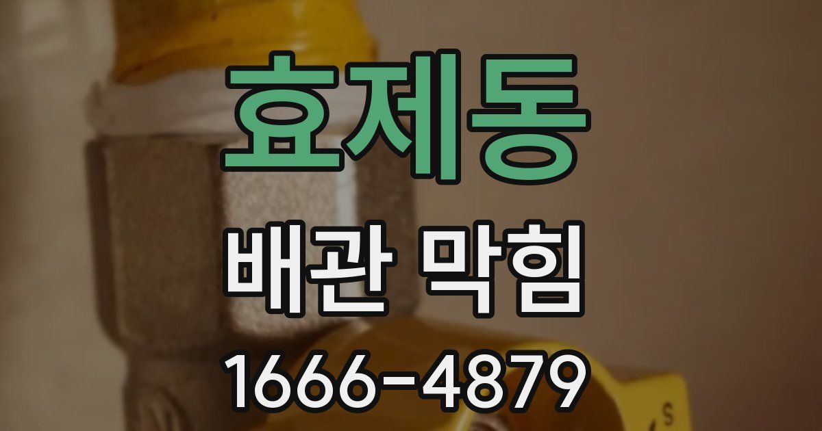 효제동 배관 막힘