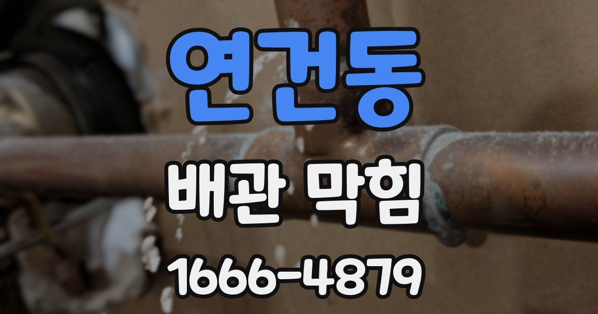 연건동 배관 막힘