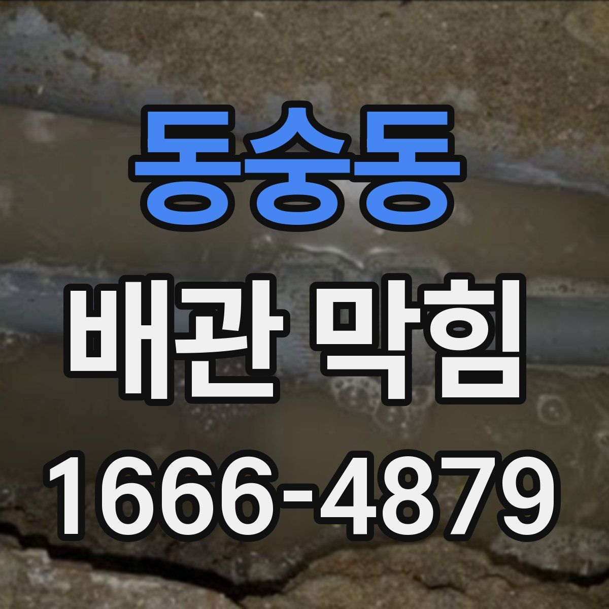 동숭동 배관 막힘