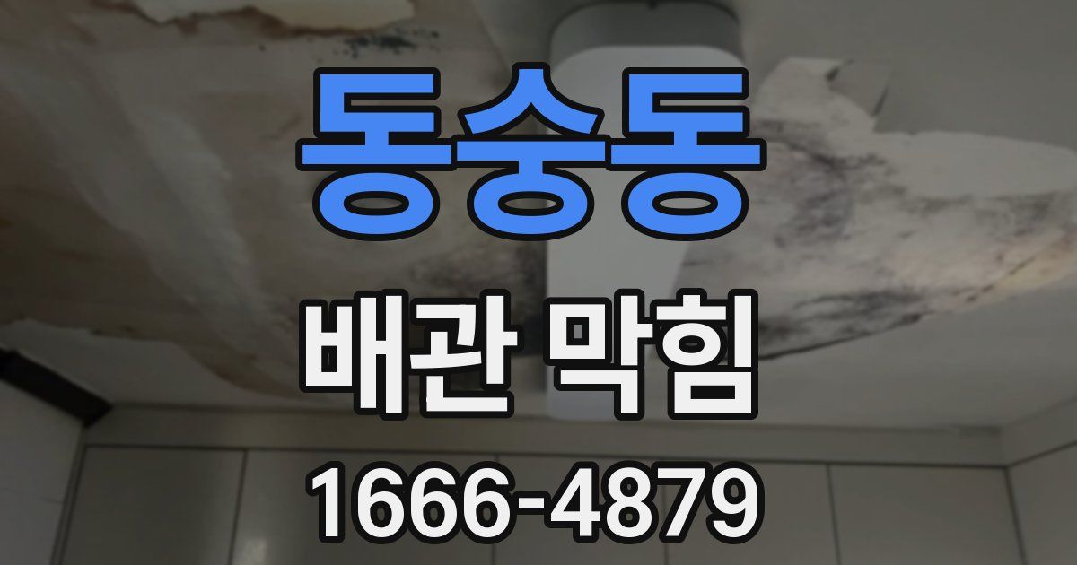 동숭동 배관 막힘