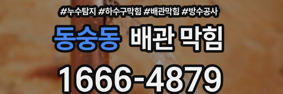 동숭동 배관 막힘