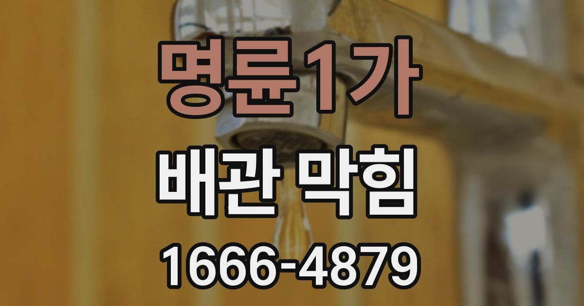 명륜1가 배관 막힘