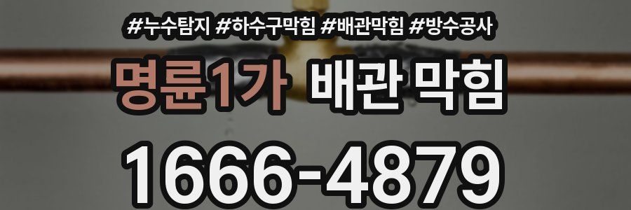 명륜1가 배관 막힘