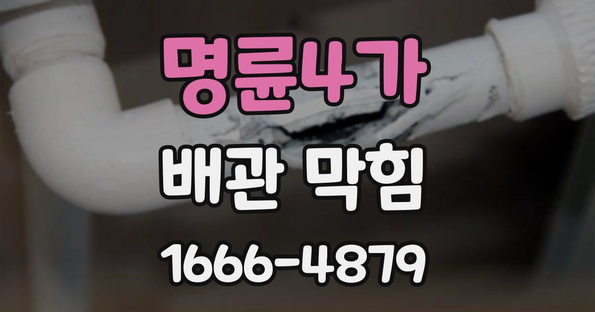 명륜4가 배관 막힘