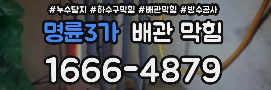 명륜3가 배관 막힘