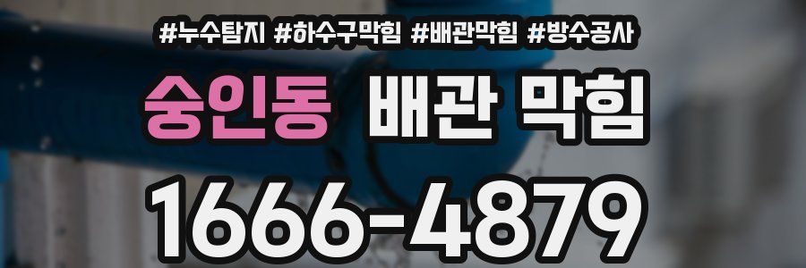 숭인동 배관 막힘