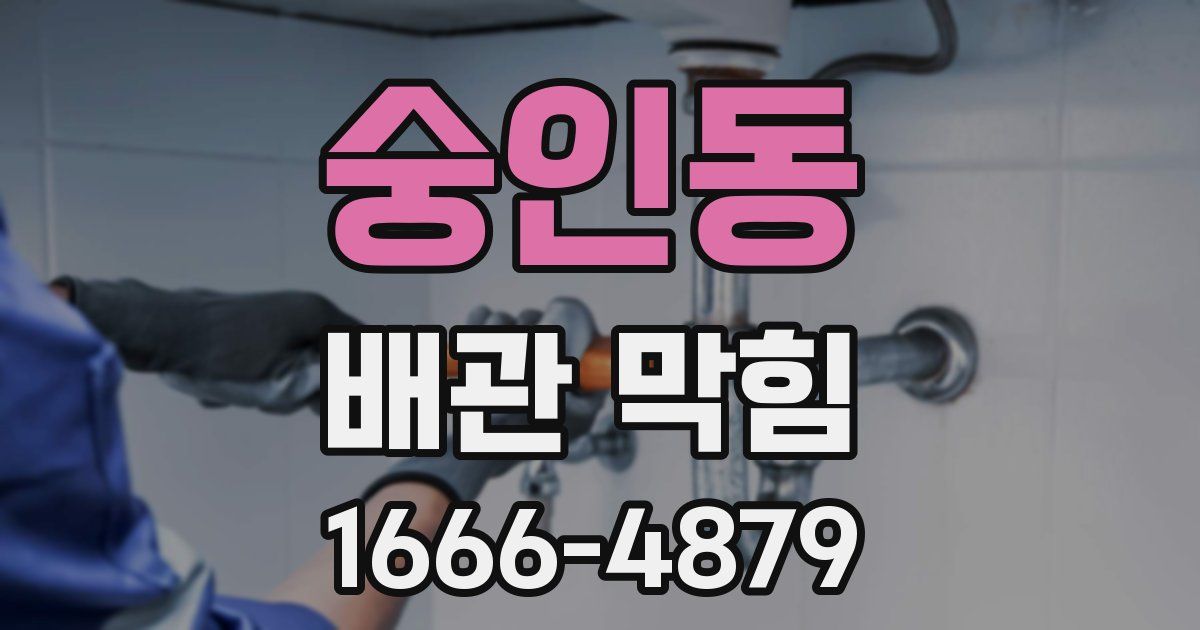 숭인동 배관 막힘