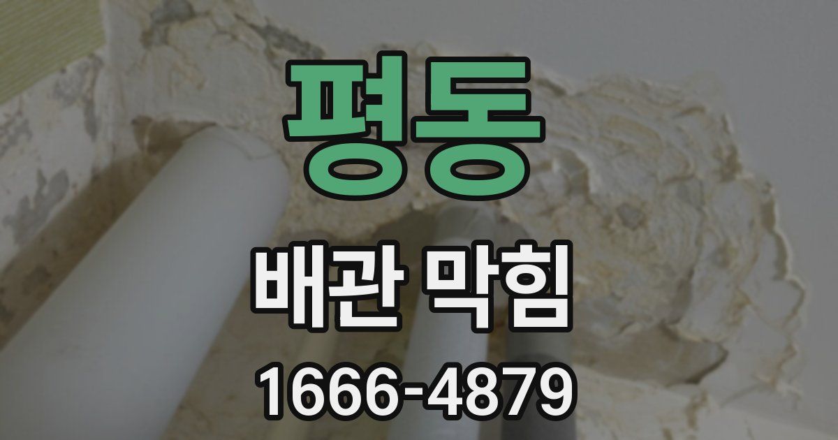 평동 배관 막힘