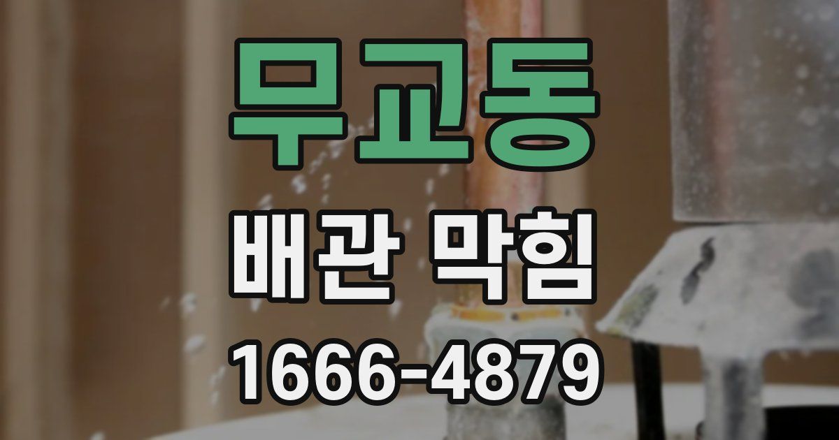 무교동 배관 막힘
