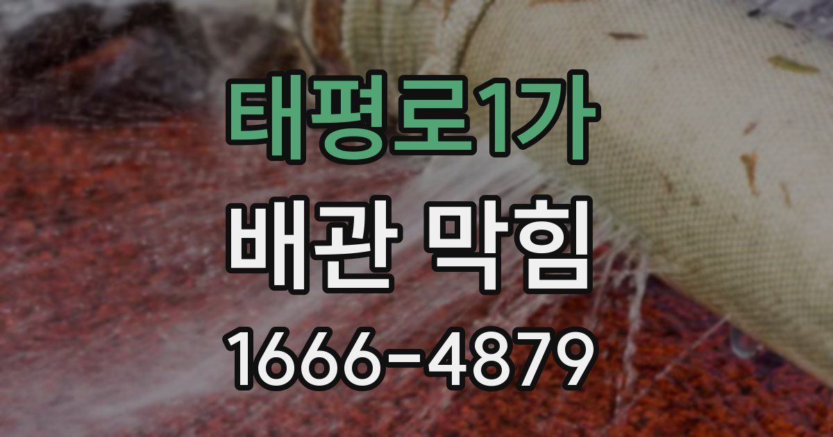 태평로1가 배관 막힘