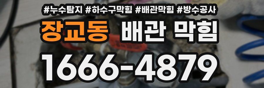 장교동 배관 막힘