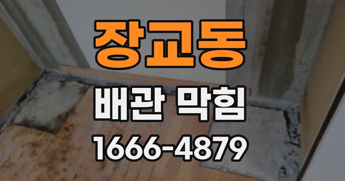 장교동 배관 막힘