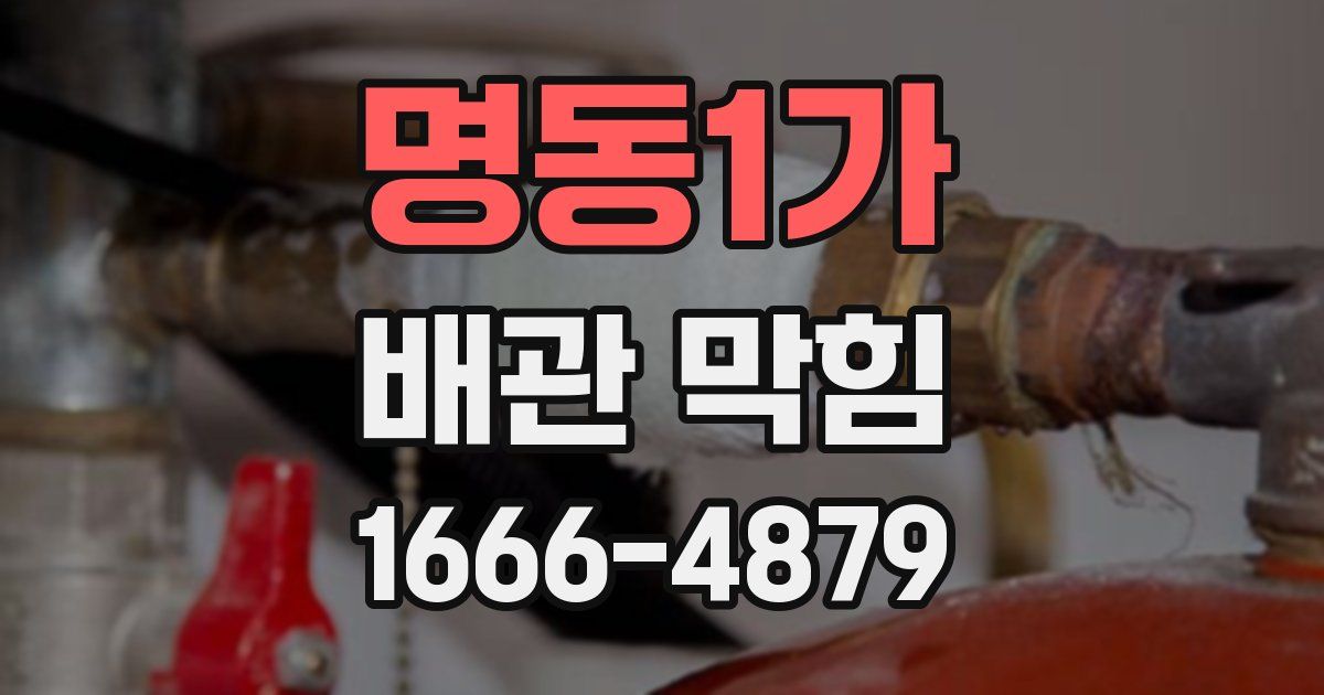 명동1가 배관 막힘