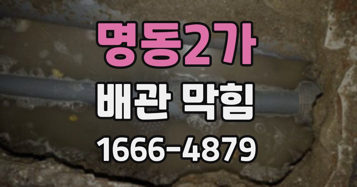 명동2가 배관 막힘