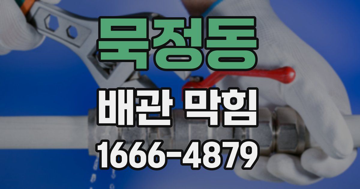 묵정동 배관 막힘