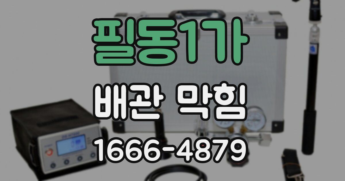 필동1가 배관 막힘