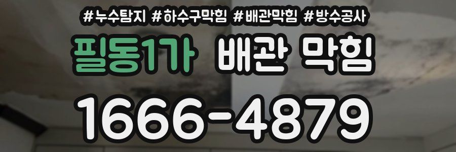 필동1가 배관 막힘