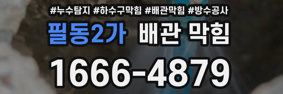 필동2가 배관 막힘