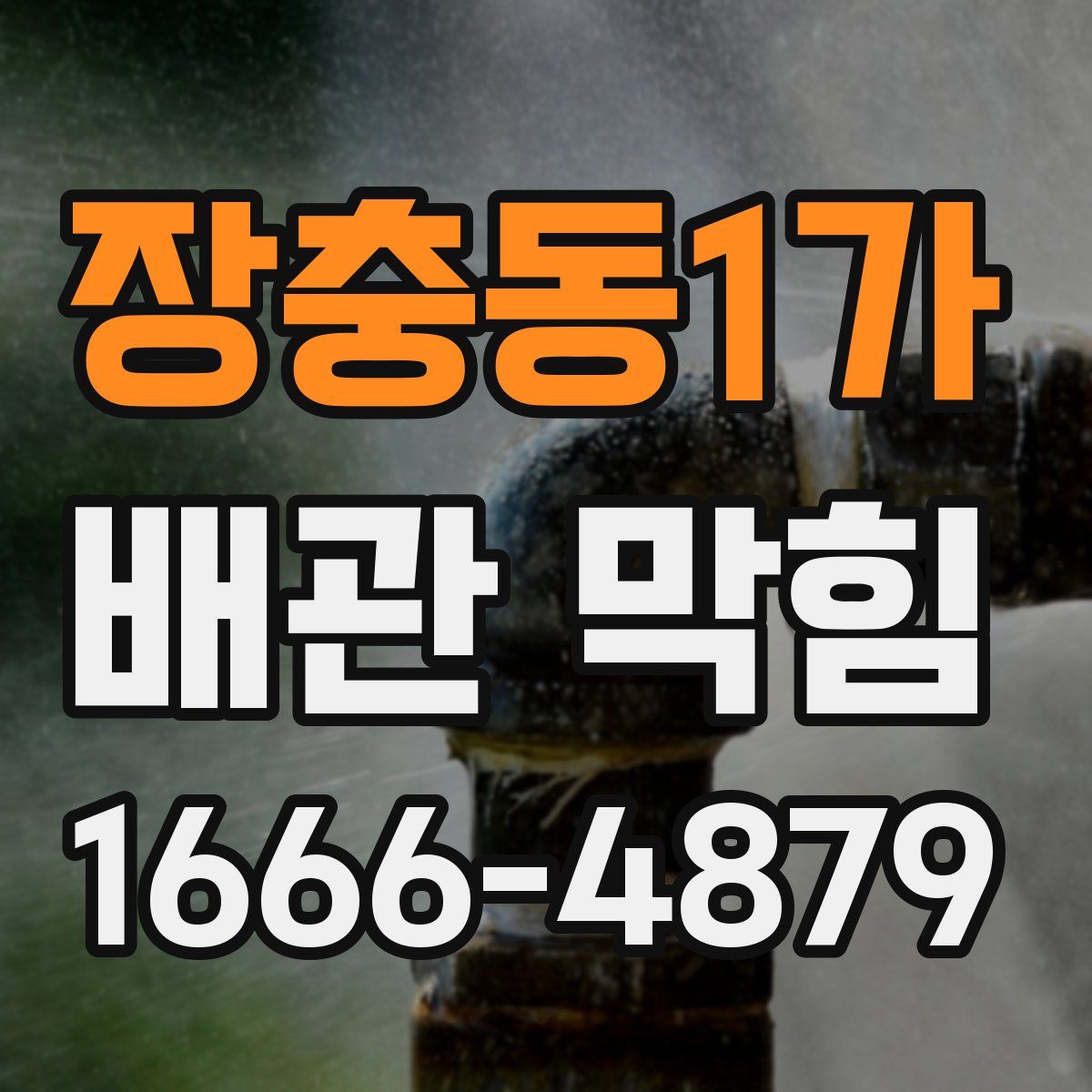 장충동1가 배관 막힘