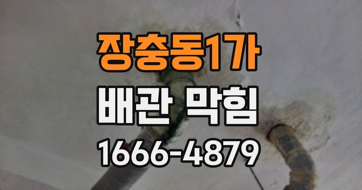 장충동1가 배관 막힘