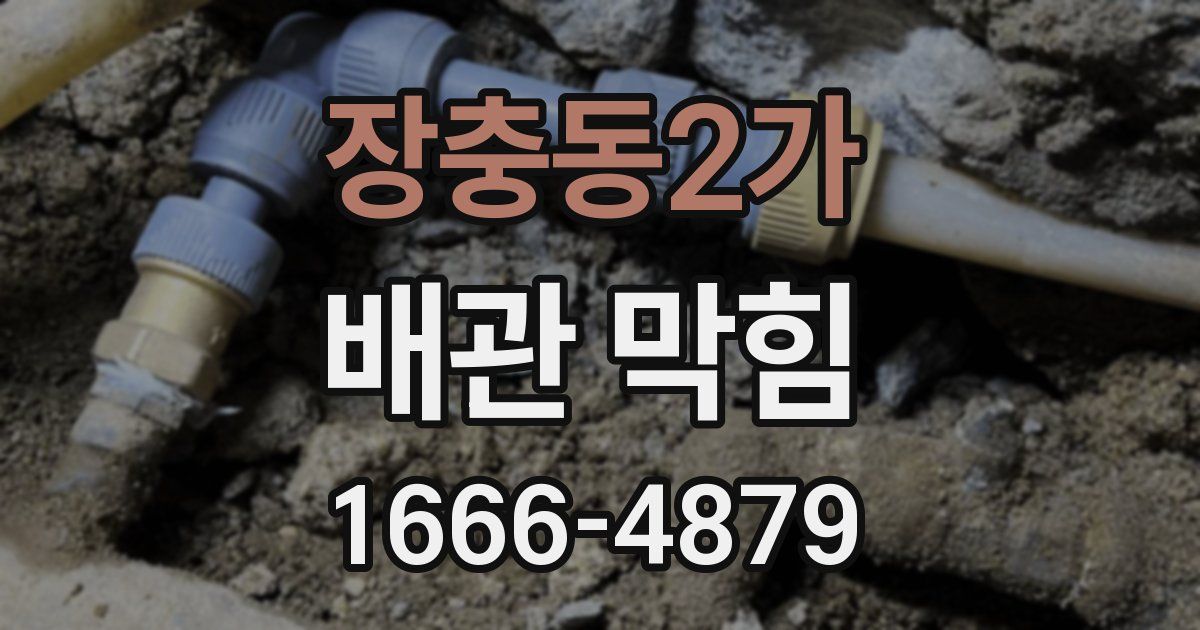 장충동2가 배관 막힘