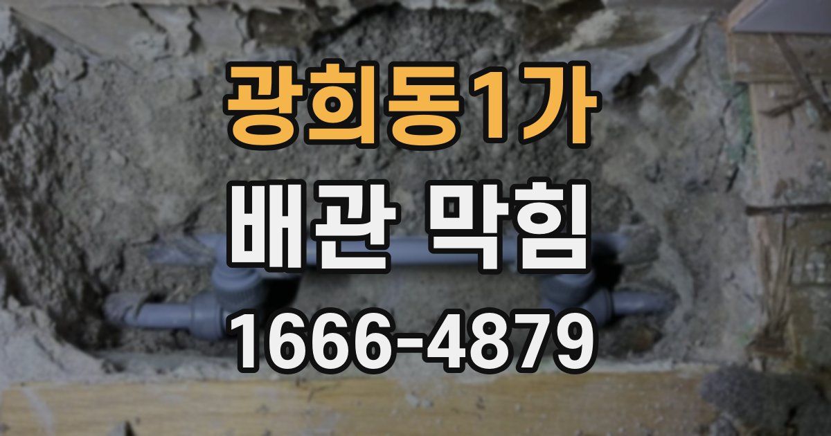 광희동1가 배관 막힘
