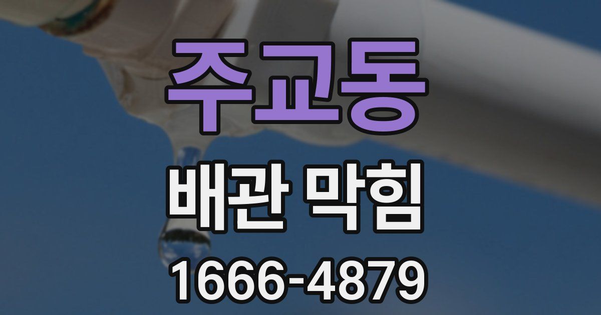 주교동 배관 막힘