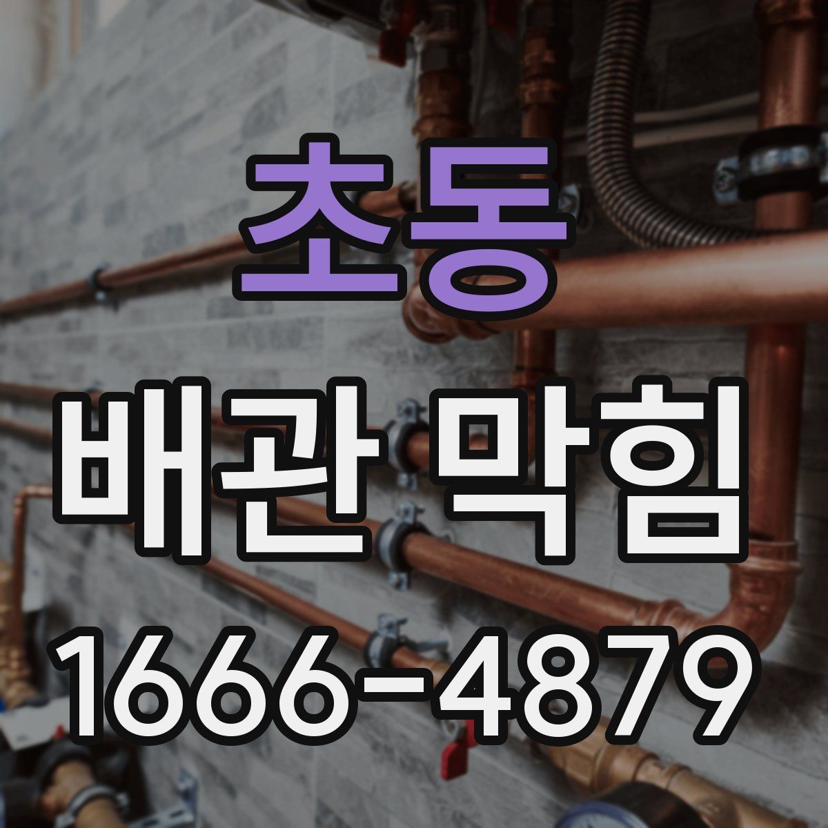 초동 배관 막힘