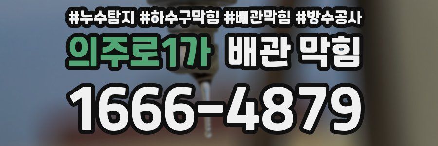 의주로1가 배관 막힘