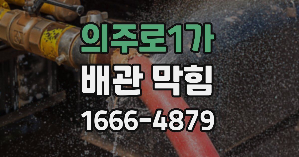 의주로1가 배관 막힘