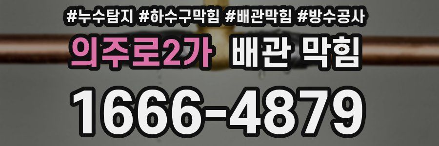 의주로2가 배관 막힘