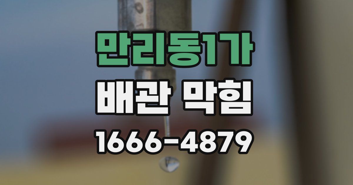 만리동1가 배관 막힘