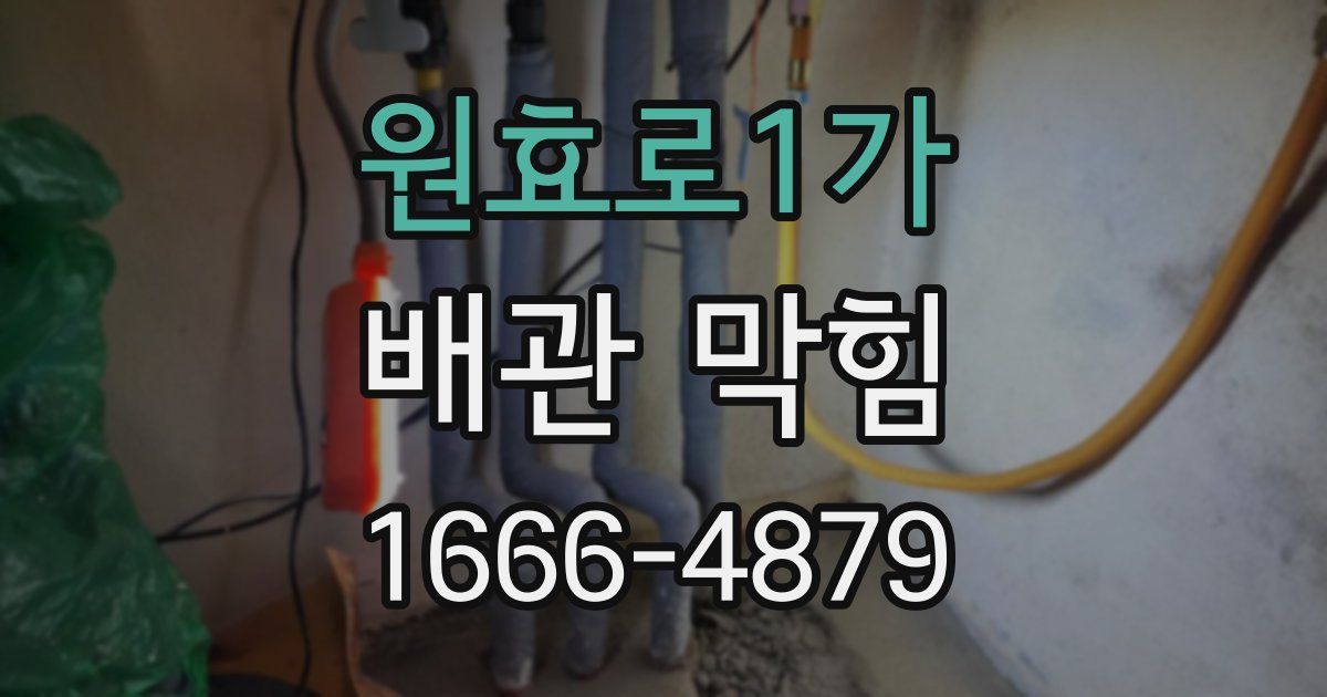 원효로1가 배관 막힘