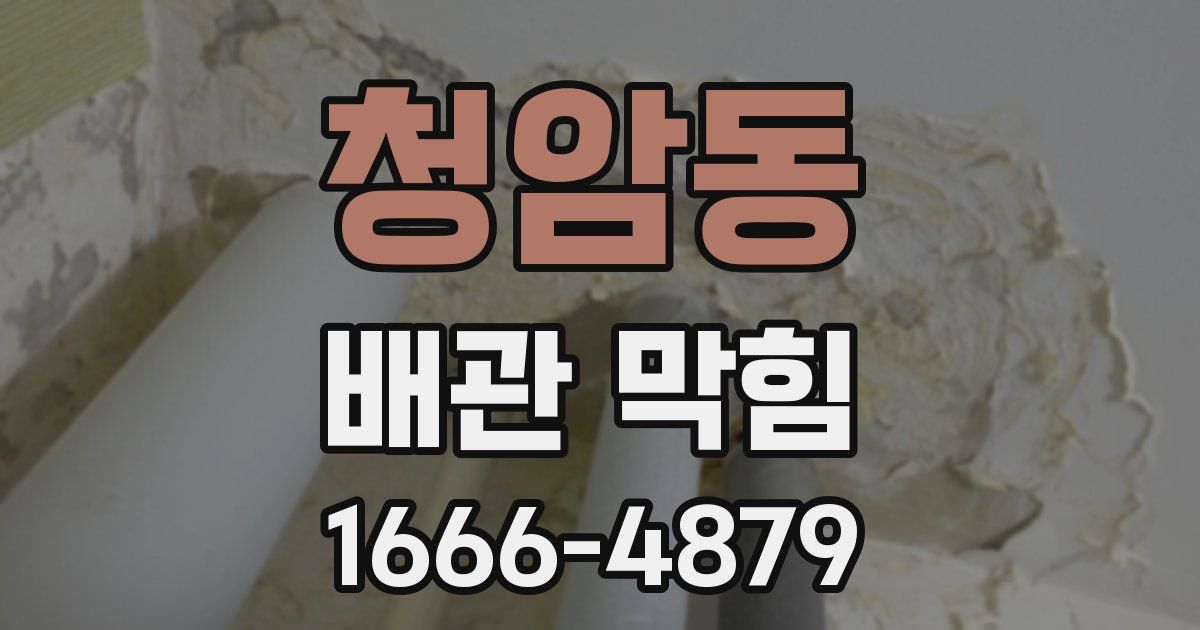 청암동 배관 막힘