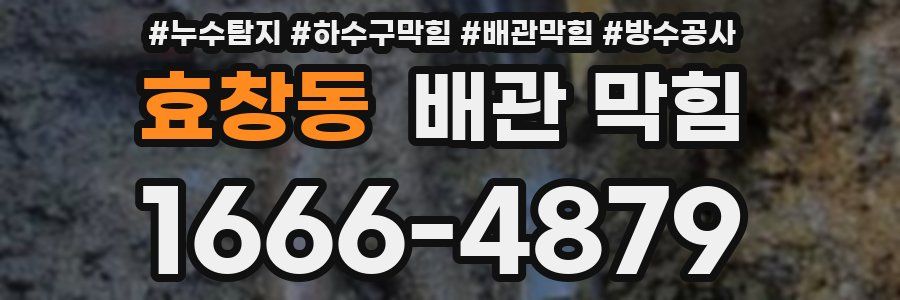 효창동 배관 막힘