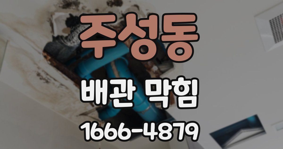 주성동 배관 막힘