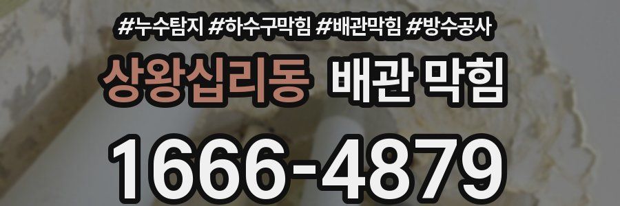 상왕십리동 배관 막힘