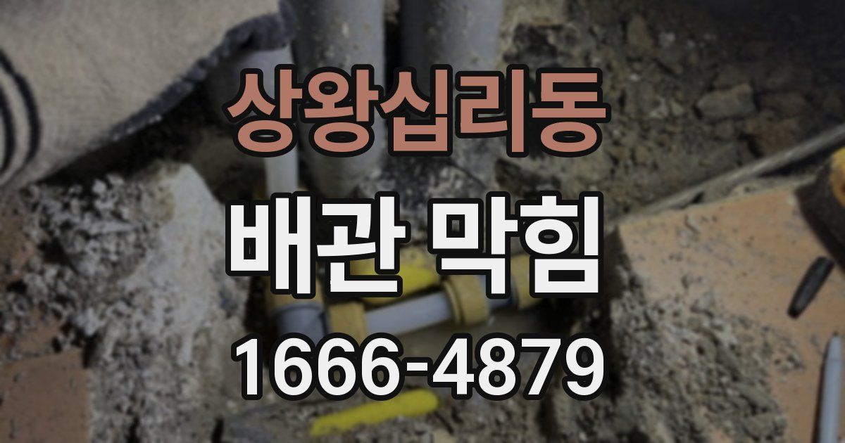 상왕십리동 배관 막힘