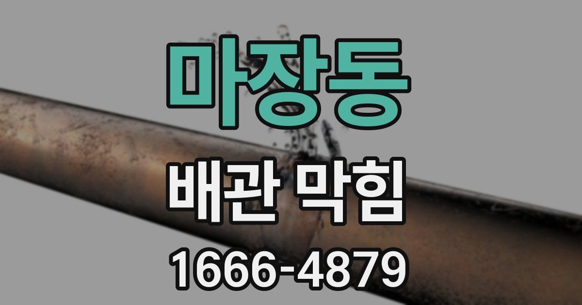 마장동 배관 막힘